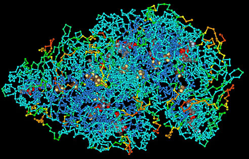 Estructura de las proteínas